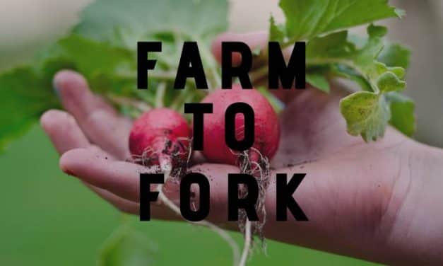Megszavazta az Európai Parlament a vitatott Farm to Fork stratégiát