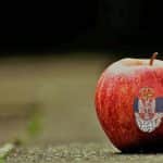 Új piacokat keresnek a szerb almaexportőrök