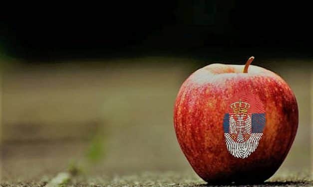 Új piacokat keresnek a szerb almaexportőrök