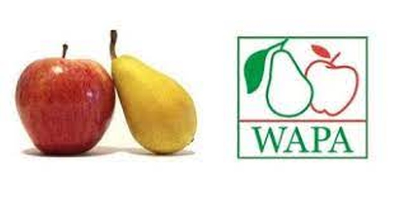 WAPA: 5%-kal magasabb európai almakészletekkel indul a 2022-es év