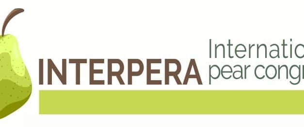 Június végén rendezik Rotterdamban az Interpera körteágazati konferenciát