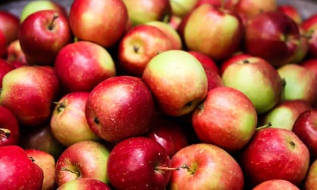 Aggasztó adatok az európai almafogyasztásról