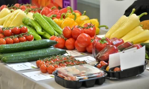 Még több magyar paprika és paradicsom jöhet: milliárdos beruházás a DélKerTÉSZ-nél