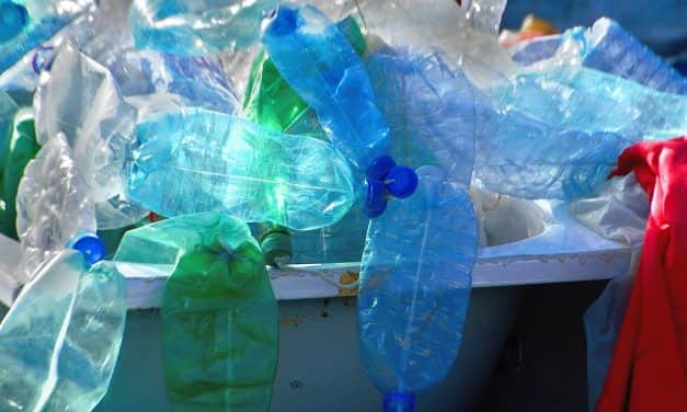 Humusz Szövetség: óriási előnyökkel járnak az újrahasználható csomagolások