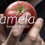 Bemutatjuk a győztest: az Amela® paradicsom története