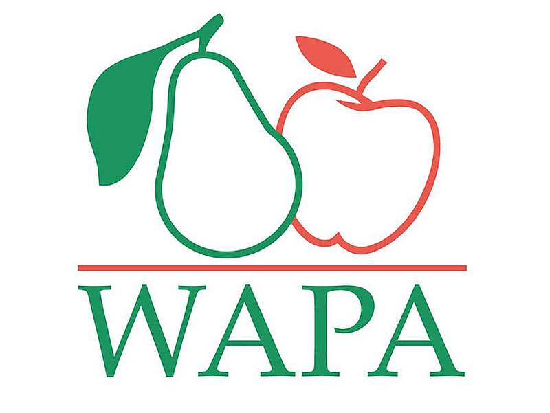 WAPA: a tavalyihoz képest 8,6%-kal több alma van a raktárakban