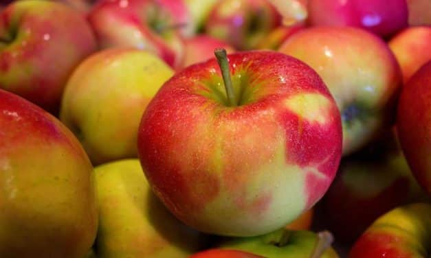 A lengyel, a szerb és a moldáv alma is helyet keres magának az európai piacokon