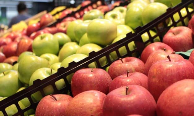 Lengyel almapiac: folyamatosan élénkül a kereslet, nőnek az árak