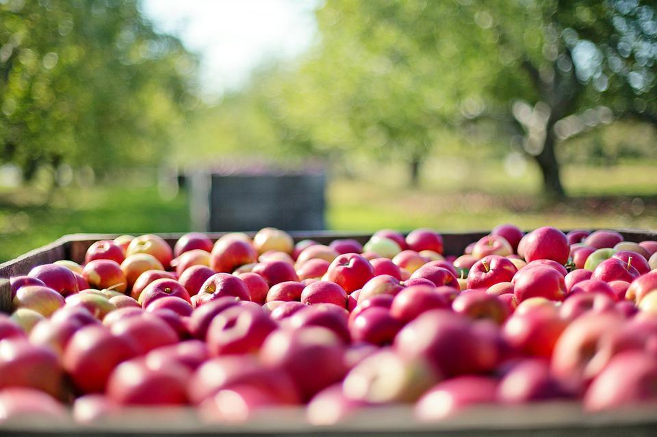 Lengyel almakivonás: egyelőre több a kérdés, mint a válasz