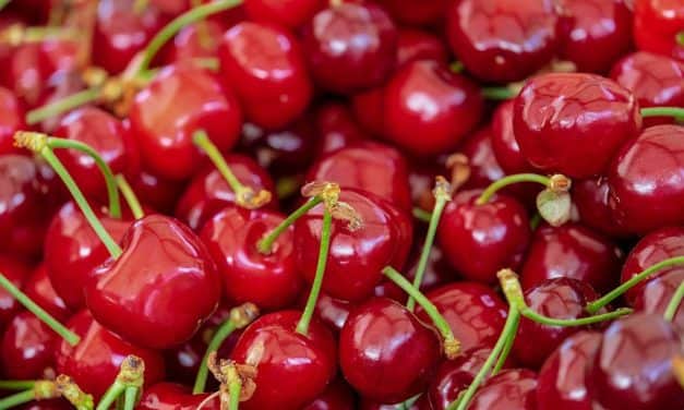 Lengyelország: csak import cseresznyét árulnak a nagy üzletláncok