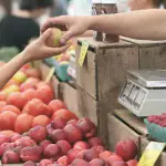 Hollandia: látótávban a 0%-os zöldség-gyümölcs ÁFA bevezetése