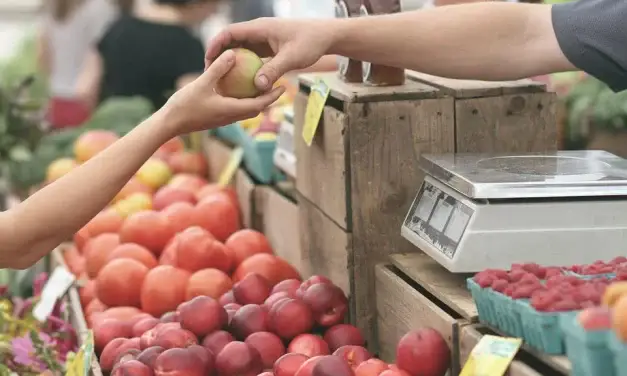 Hollandia: látótávban a 0%-os zöldség-gyümölcs ÁFA bevezetése