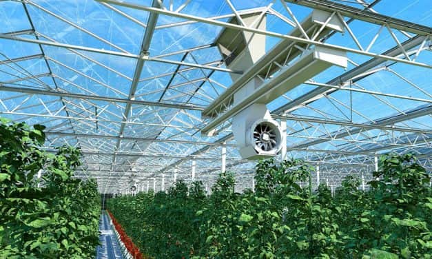  X-Air: hightech szellőztetés, mellyel bármely Venlo típusú üvegház „félig zárhatóvá” alakítható