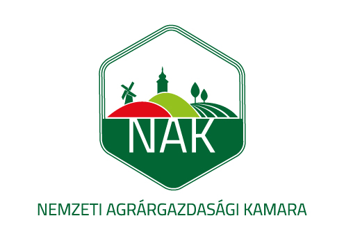 NAK: regisztráció mesterképzésre és mestervizsgára