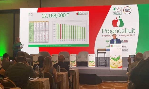 Prognosfruit: 12,17 millió tonnás uniós almatermést jósol a WAPA