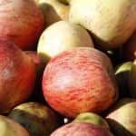 Lengyelország: minimális almaárat kér a kormánytól a Solidarność