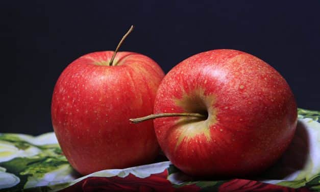 Belgium: 15 év alatt 40%-kal csökkent az almatermesztő gazdaságok száma Flandriában
