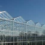 Belgium: tizenkétszeresére nőtt az üvegházakban használt földgáz éves költsége