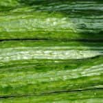 Németország: csökken a kétszeresére drágult uborka kereslete