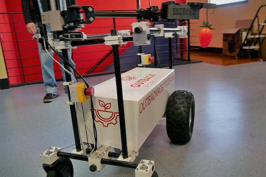 Szamócaszedő robot gombaölő UV-lámpákkal