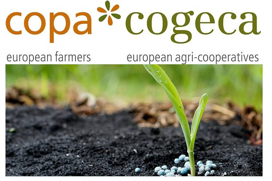 Azonnali uniós intézkedéseket sürget a Copa-Cogeca