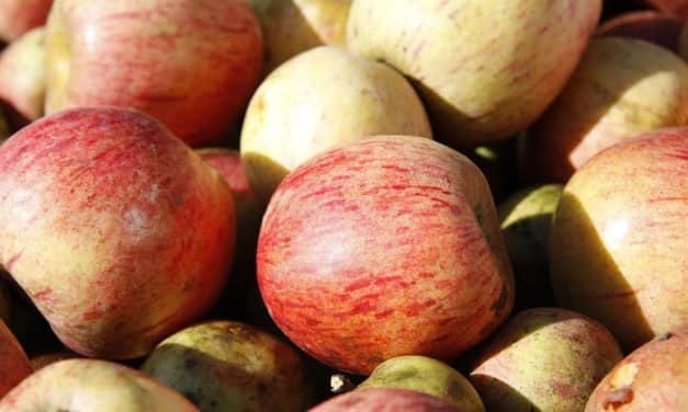 Az almafogyasztás visszaesésétől tart az Európai Bizottság