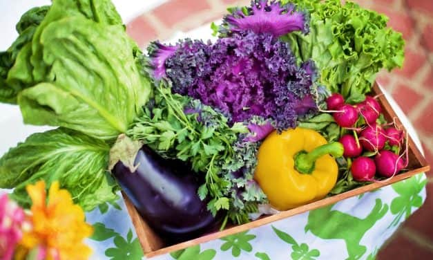 Olaszország: 17%-kal drágultak a zöldségek a tavalyi árakhoz képest