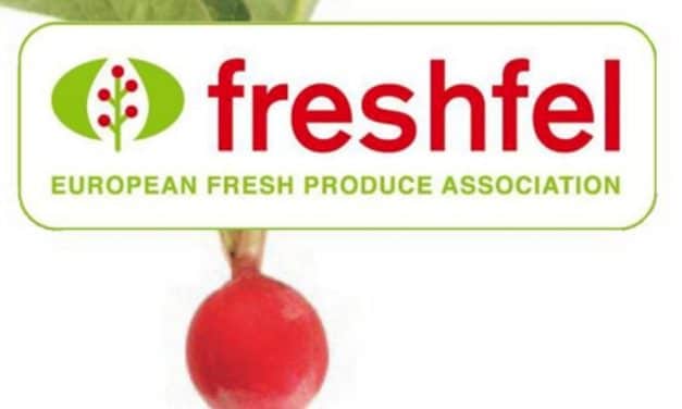 Nemzetközi növényegészségügyi szabványok bevezetését sürgeti a Freshfel Europe