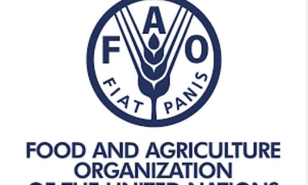 Erősödik az együttműködés a FAO és Magyarország között