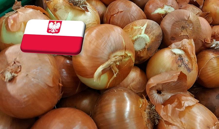 Lengyelország: rekordmagas szinten stabilizálódott a hagyma ára