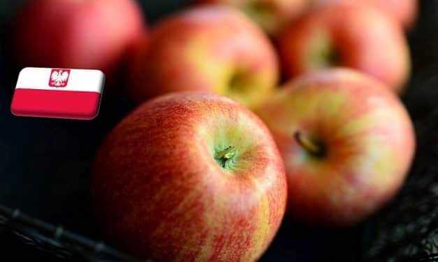 Lengyelország: 23%-kal nőtt 2022-ben az alma fajlagos termelési költsége
