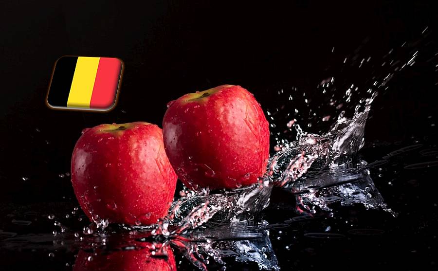 Belgium: a bőséges almatermés 15%-át a fákon hagyják a gazdák