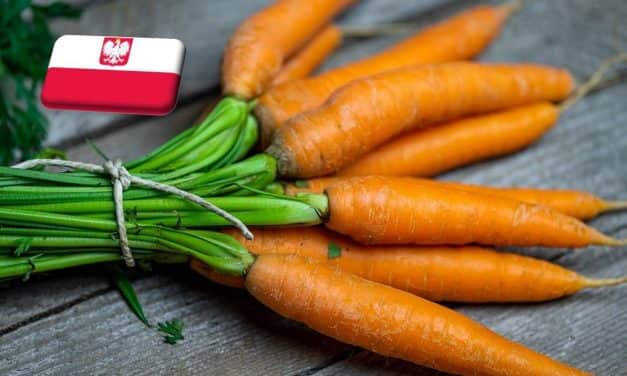 Lengyelország: a tavalyinál 5,5%-kal kisebb sárgarépatermés várható