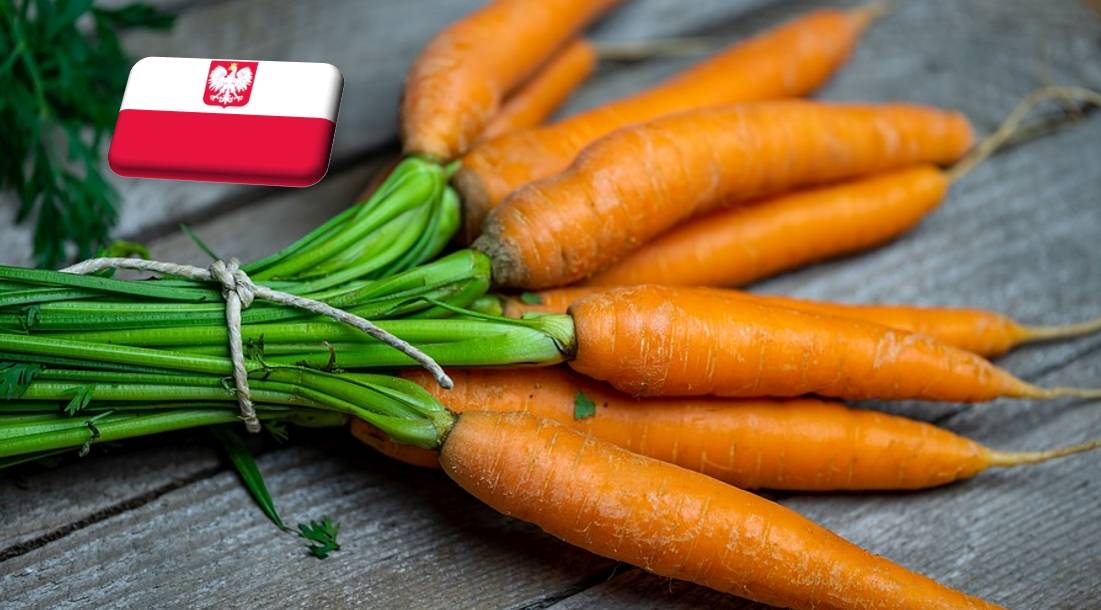 Lengyelország: a tavalyinál 5,5%-kal kisebb sárgarépatermés várható