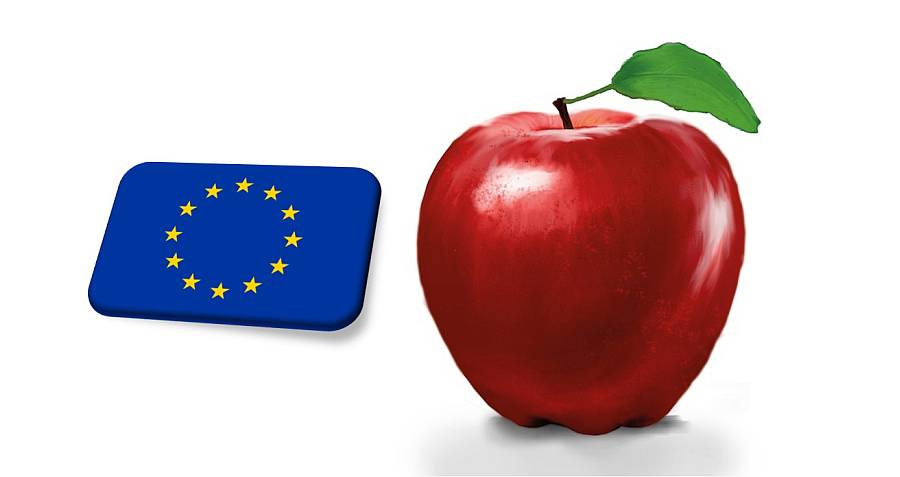 EU: több almát exportált, és kevesebbet importált az unió októberben