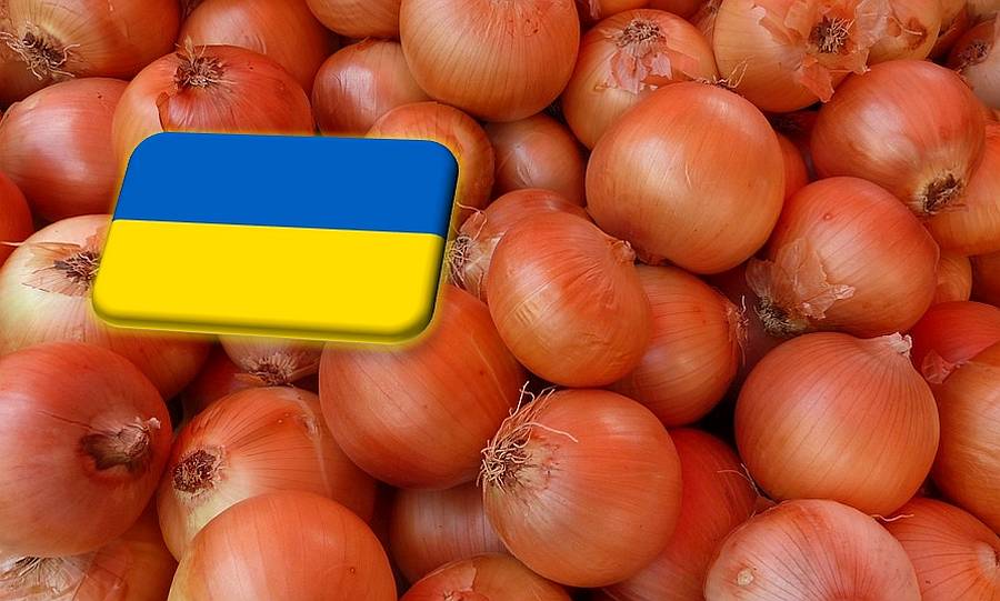 Ukrajna: ismét emelkedésnek indultak a vöröshagymaárak