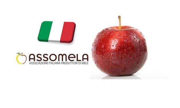 Olaszország: diszkriminatívnak tartja az Assomela a kormányzati intézkedéseket