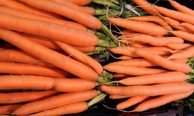 Franciaország: a tavalyinál 6%-kal több sárgarépa várható