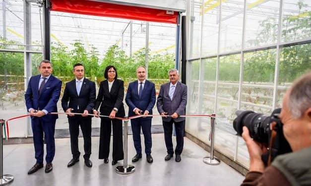 Két új, 40 ezer négyzetméteres modern üvegház létesült Szentes mellett