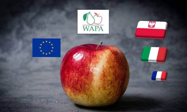 WAPA: kis mértékben felfelé módosult az uniós almaprognózis