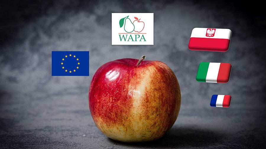 WAPA: 6%-kal kisebb az európai almakészlet a tavalyinál