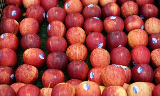 Lengyelország: új exportpiacokra jut el a lengyel alma