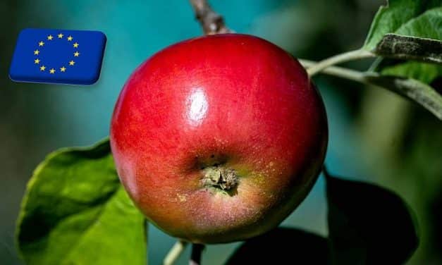 EU: február környékén nyugodhat meg az ideges almapiac