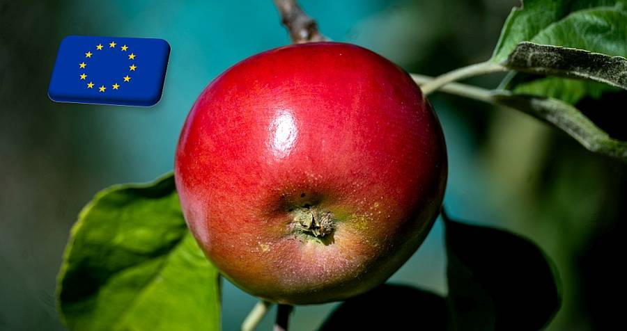 EU: február környékén nyugodhat meg az ideges almapiac