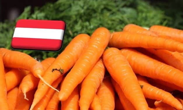 Ausztria: két héten belül be kell fejeződnie a sárgarépa betakarításának