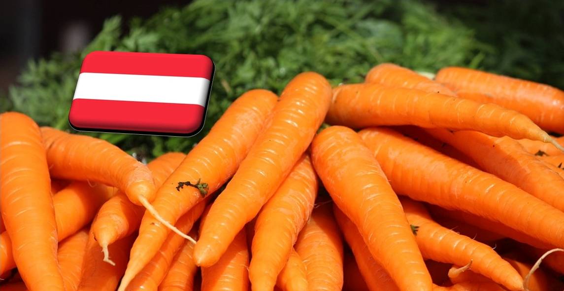 Ausztria: két héten belül be kell fejeződnie a sárgarépa betakarításának
