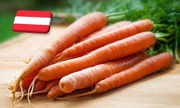 Ausztria: Egy héten belül befejeződik a sárgarépa betakarítása
