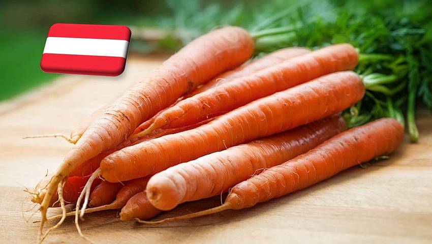 Ausztria: Egy héten belül befejeződik a sárgarépa betakarítása