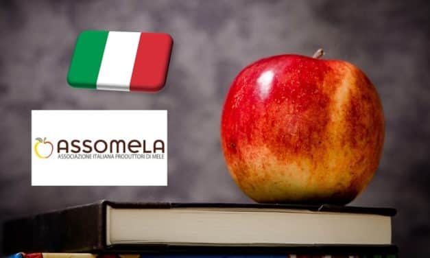 Olaszország: jól halad az almakészletek kivezetése