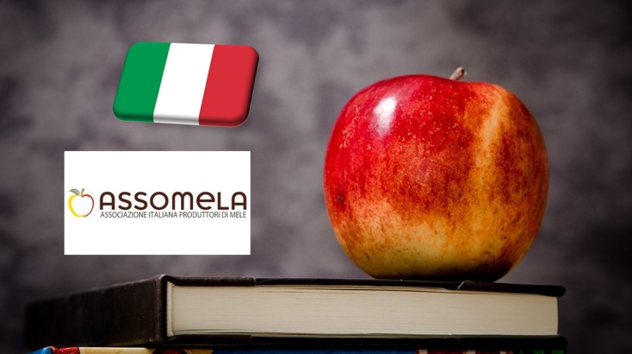 Olaszország: jól halad az almakészletek kivezetése